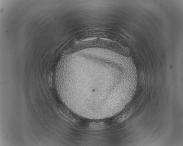 X0000067480271200605051720