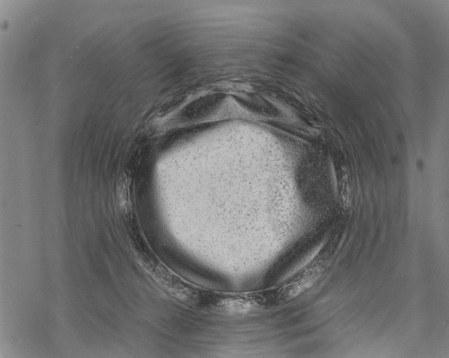 X0000067480272200605051720