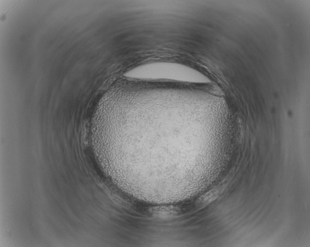 X0000067480273200605051720