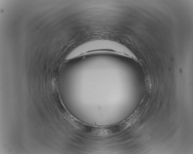 X0000067480276200605051720