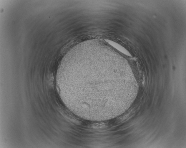 X0000067480279200605051720