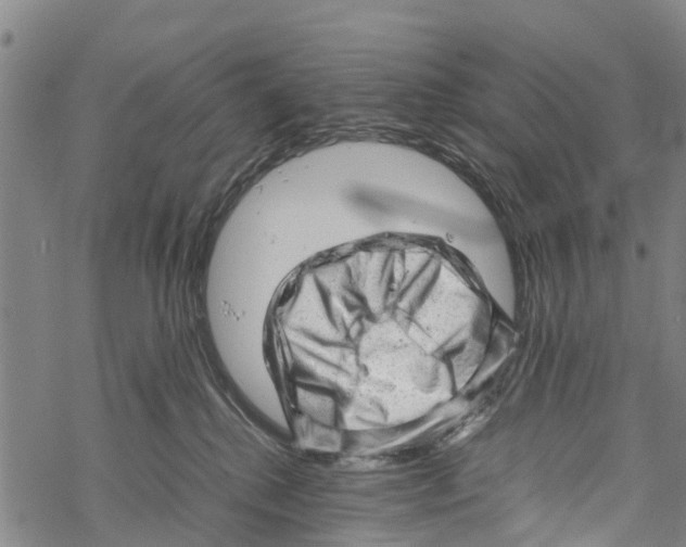 X0000067480280200605051720