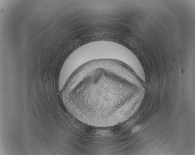 X0000067480283200605051720