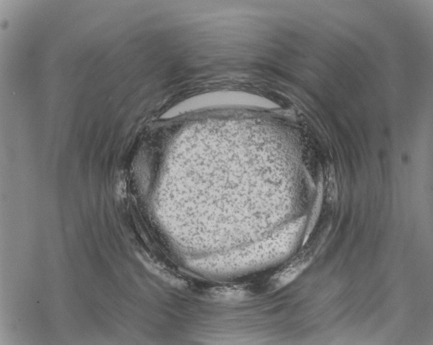 X0000067480284200605051720