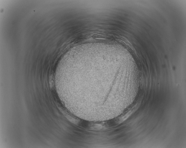 X0000067480285200605051720