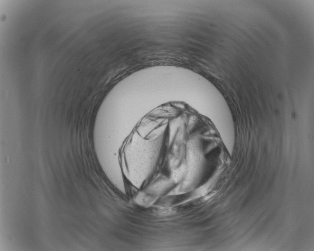 X0000067480287200605051720