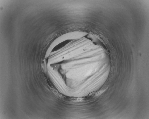 X0000067480288200605051720