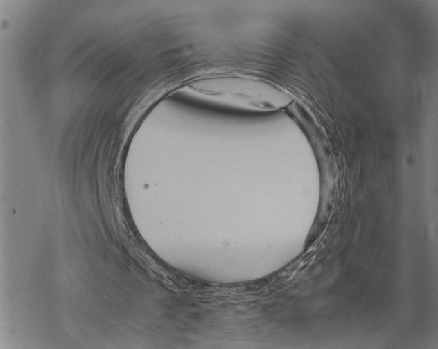 X0000067480289200605051719