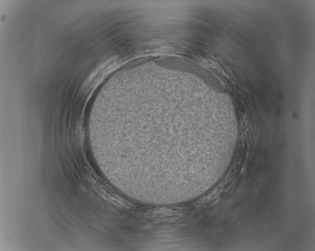 X0000067480290200605051719