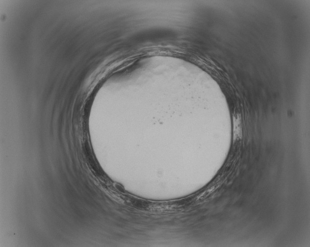 X0000067480291200605051719