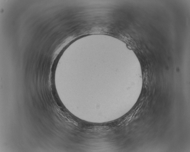 X0000067480292200605051719