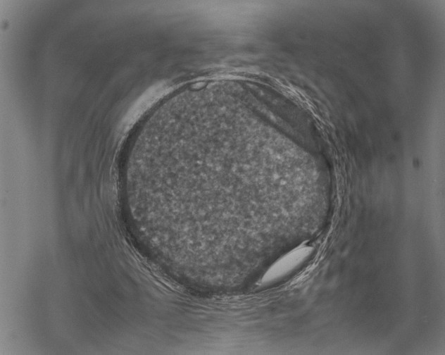 X0000067480295200605051719