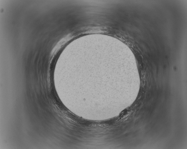 X0000067480296200605051719