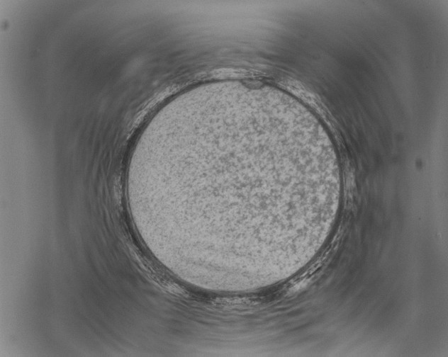 X0000067480297200605051719