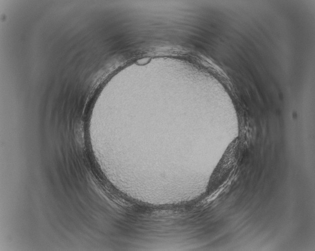 X0000067480298200605051719