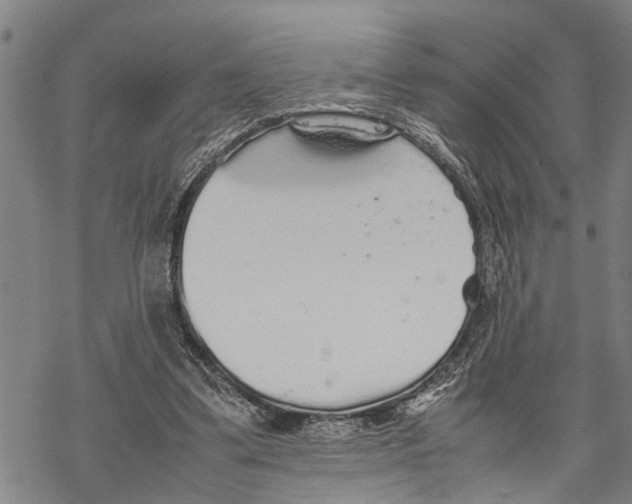 X0000067480299200605051719