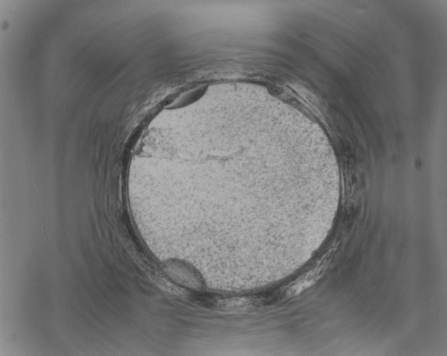 X0000067480301200605051719