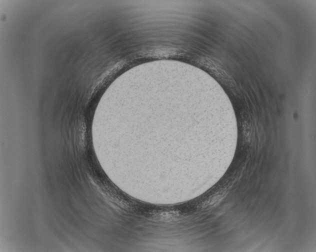 X0000067480304200605051719