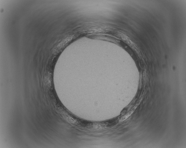 X0000067480305200605051719