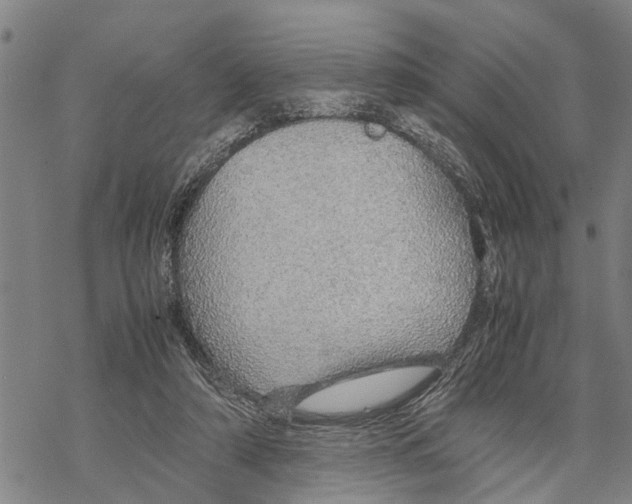 X0000067480306200605051719