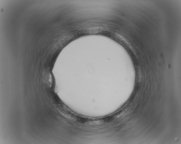 X0000067480307200605051719