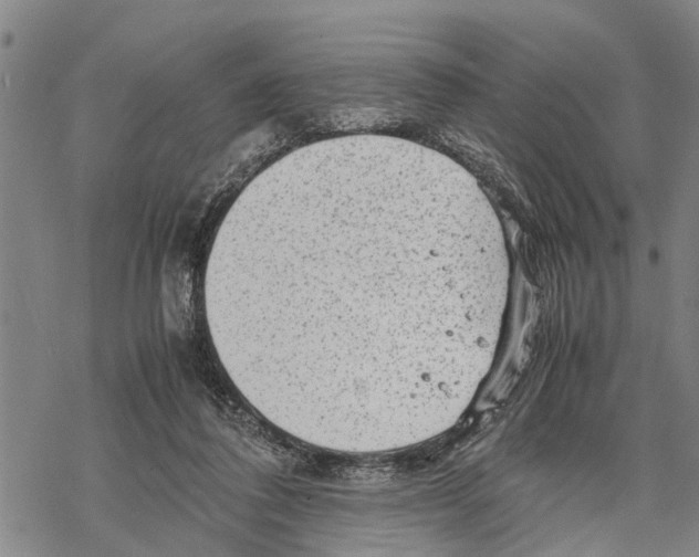 X0000067480308200605051719