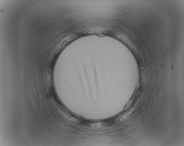 X0000067480309200605051719