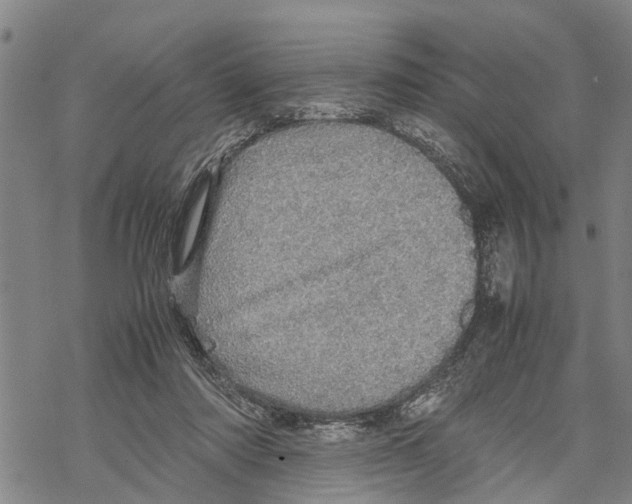 X0000067480310200605051719