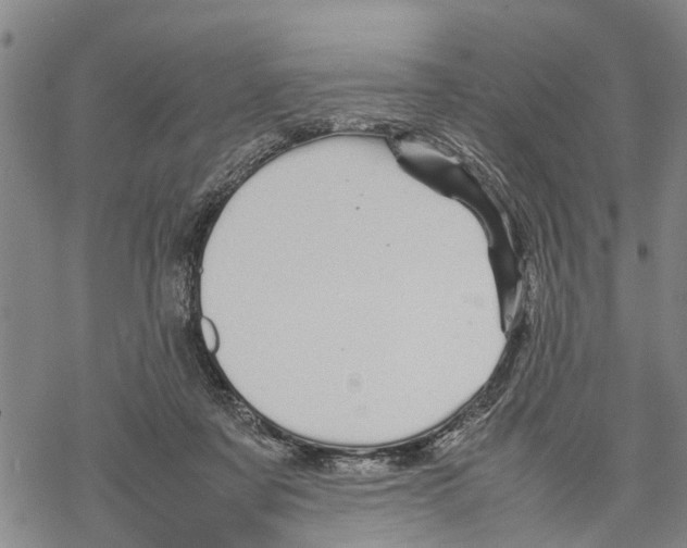 X0000067480311200605051719