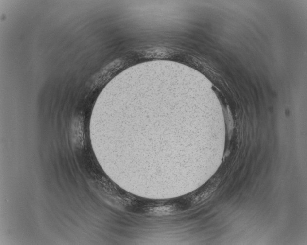 X0000067480312200605051719