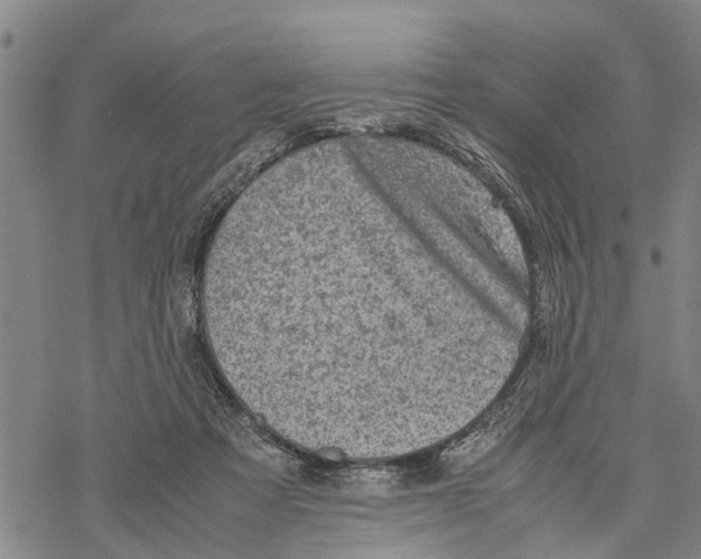 X0000067480313200605051719