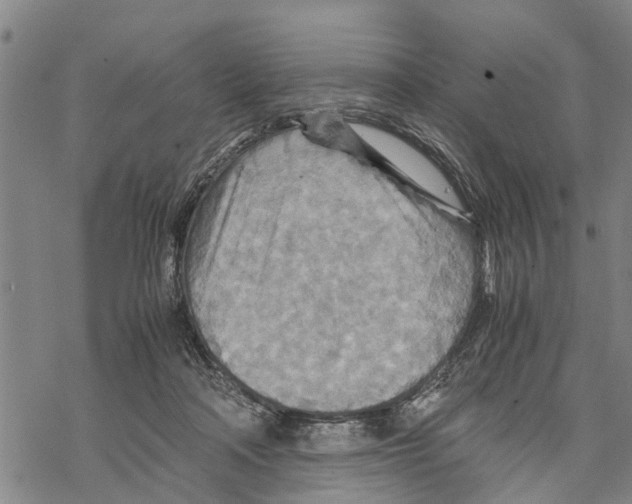 X0000067480314200605051719