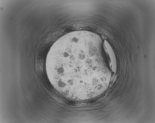 X0000067480315200605051719