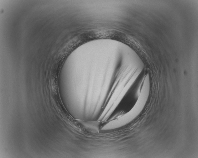 X0000067480317200605051719