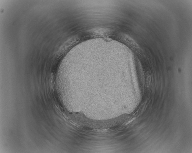 X0000067480318200605051719