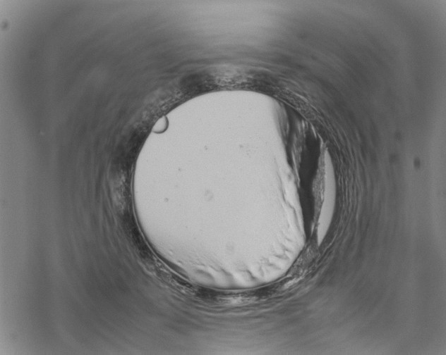 X0000067480319200605051719