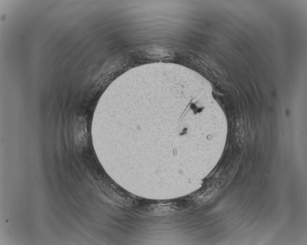 X0000067480320200605051719