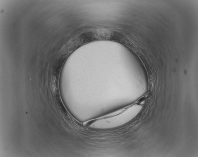 X0000067480323200605051719