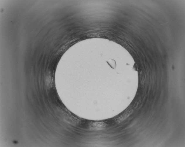 X0000067480324200605051719