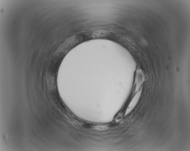 X0000067480327200605051719