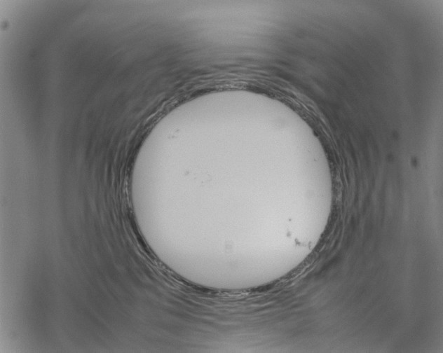 X0000067480329200605051719