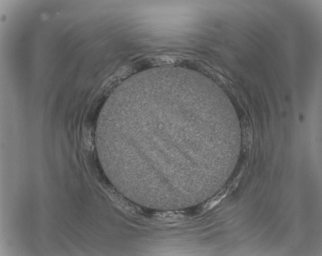 X0000067480331200605051719