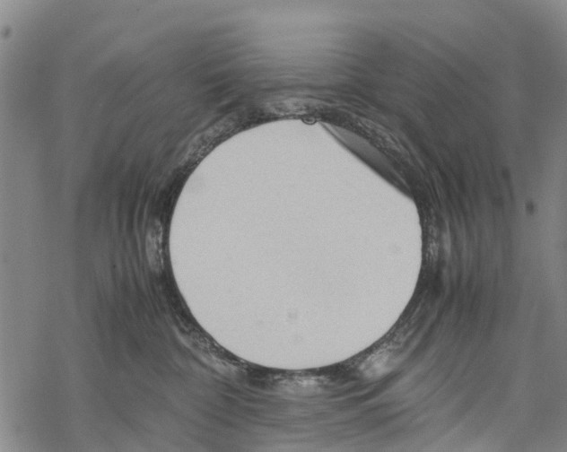 X0000067480332200605051719