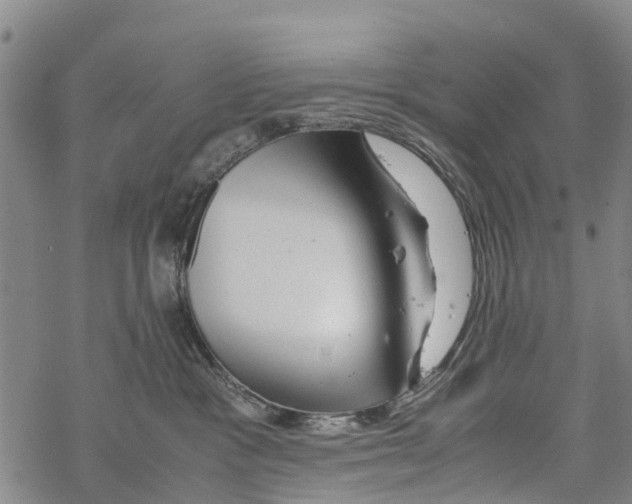 X0000067480333200605051719