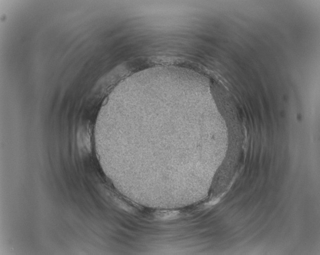 X0000067480334200605051719