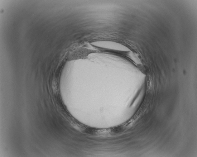 X0000067480335200605051719