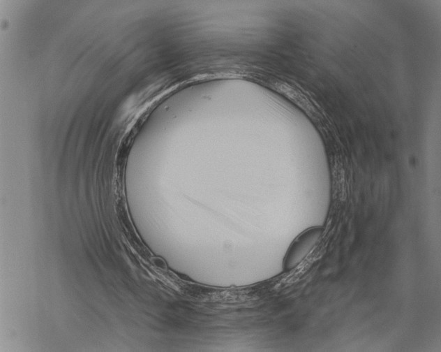 X0000067480338200605051718