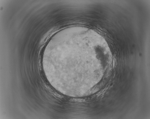 X0000067480339200605051718