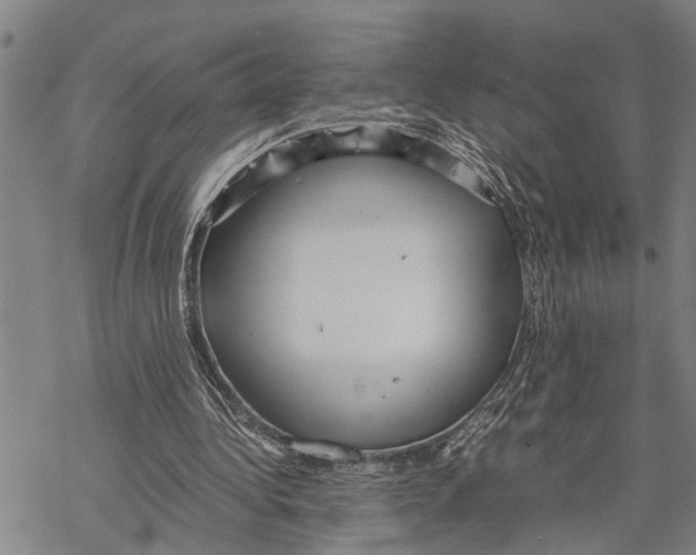 X0000067480340200605051718