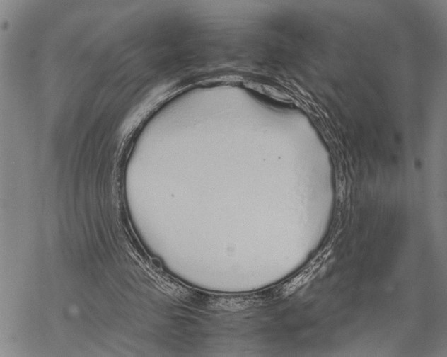 X0000067480341200605051718